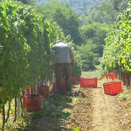 Castello Di Tagliolo Wine * Tagliolo Monferrato